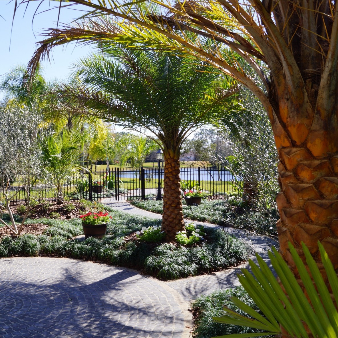 Orlando Landscape Design Services | Greener Industries