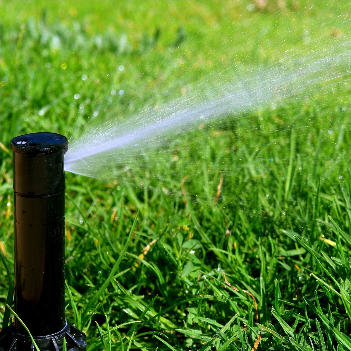 Поливочная система для газона. Полив дождеванием. Можно ли поливать газон в жару. Автополив для огорода. Можно ли поливать газон в жару.